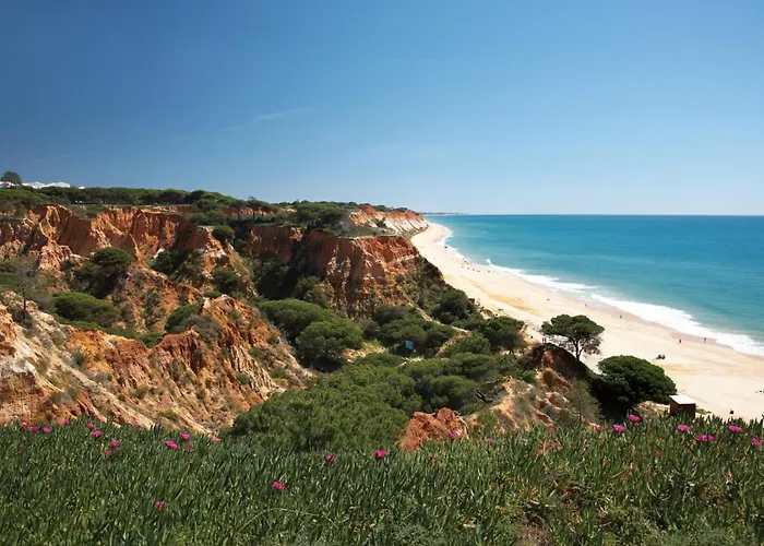 호텔 포르토베이 팔레시아